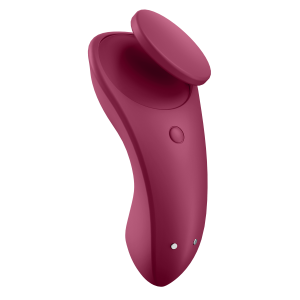 VIBRADOR PARA PANTIES CON APP